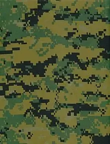 MARPAT