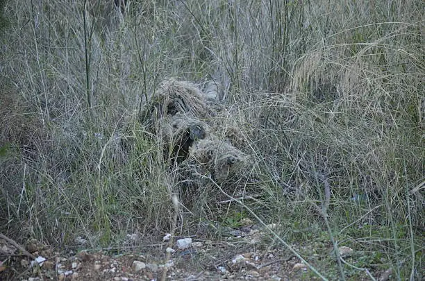 Ghillie Suit 101: A Beginner's Guide